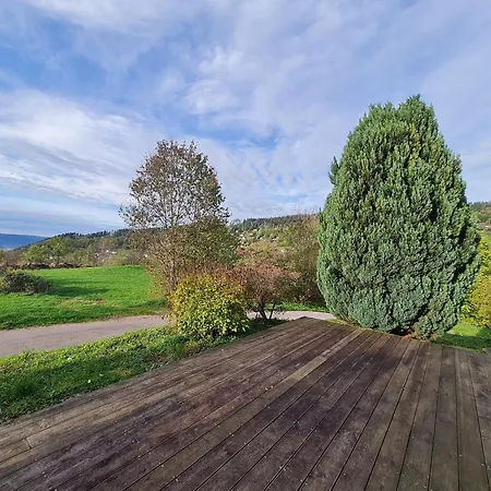 Confortable A - 3 Chambres, Terrasse, Proche La Bresse - Fr-1-589-42